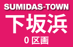 下坂浜